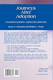 Image de Journeys After Adoption: Understanding Lifelong Issues