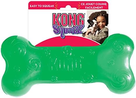 kong squeaky bone