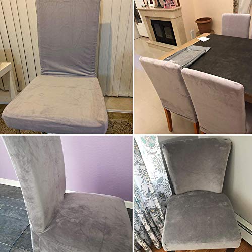 SearchI 6 Pack Fit Stretch Soft Velvet Dining Chair Covers Slipcover Protector, Removable Washable Fabric Short Chair Cover for Dining Room, Hotel, Ceremony (Creme, 6)