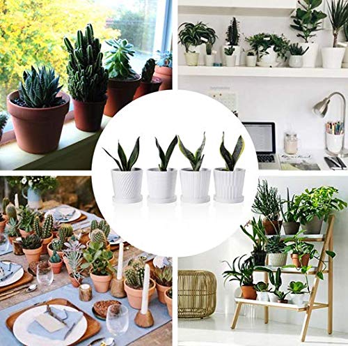 Greenaholics Plant Pots - 5.2Inch Cylinder Ceramic Planters with Connected Saucer, Pots for Succuelnt and Little Plants Set of 4, White - Thumbnail 4