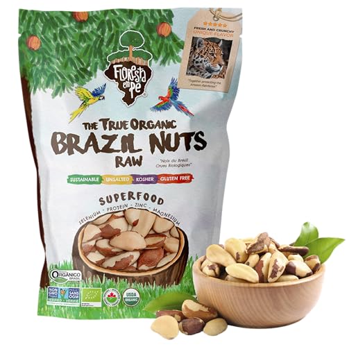 Castanha-do-Pará 500g Orgânica Inteira – Fonte de Proteína Vegetal e Selênio – Vegana, Kosher, Sem Glúten, Sem Conservantes – Floresta em Pé