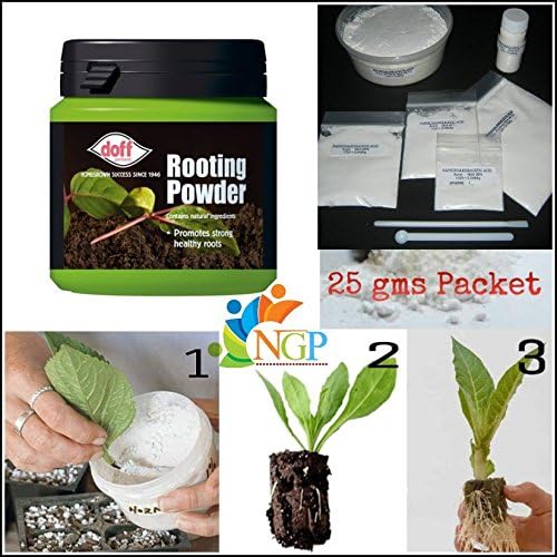 Natural garden plants All Purpose Rooting Hormone Dry Powder for Cuttings Plants, 25g Pack