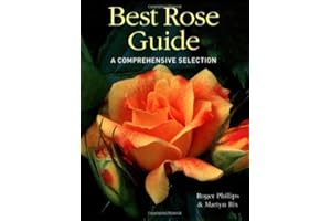 Best Rose Guide: A Comprehensive Selection