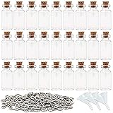 SUPERLELE 60pcs 2ml Small Mini Glass Bottles Jars