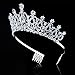 Hicarer Queen Crown Princess Tiara Wedding Bridal Crown Women and Girls Crystal Headbands with Comb, Princess Prom Birthday Party Hair Accessories, Silver
