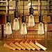 6 Pack, Rolay 9 Watt LED Bulbs Adjustable Warm/Natural/White LED Light Bulbs with 3 Color Temperature Changing