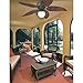 Westinghouse 7861920 Oasis Single-Light 48-Inch Five-Blade Indoor/Outdoor Ceiling Fan, Oil Rubbed Bronze with Yellow Alabaster Glass