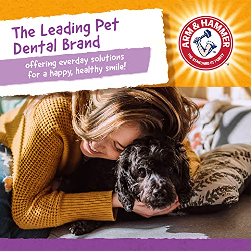 ARM & HAMMER FOR PETS NUBBIES DENTAL TREATS VALUE SIZE – BAKING SODA & CALCIUM DOG DENTAL CHEWS, HELPS SCRUB PLAQUE & TARTAR WHILE CHEWING, CHICKEN FLAVOR, 139 COUNT, 52.8 OZ