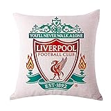 ZQfans Liverpool FC Home Soccer Club Throw Pillow Case Inserts & Linen Covers (Liverpool, 18