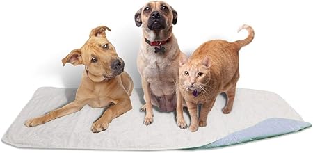 take care premium training pads