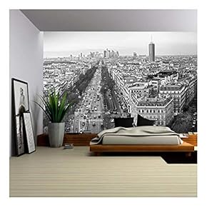 View of Paris from Arc De Triomphe, France - Removable Wall Mural | Self-Adhesive Large Wallpaper - 66x96 inches