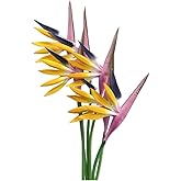 Rikyo Multicolor Artificial Flowers 6Pcs Bird of Paradise 23" Permanent Flower,Strelitzia Tropical Imitation Plant Flower Bouquets for Office Home Party Decorations,Potted Plants (Purple Yellow)