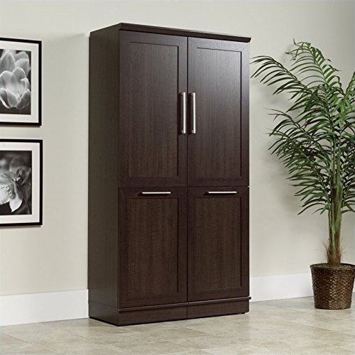Sauder Homeplus Storage Cabinet In Dakot Buy Online In Brunei At Desertcart