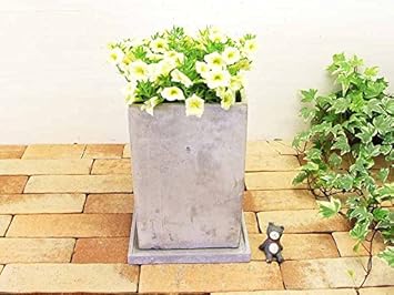 Amazon 植木鉢 鉢 おしゃれ スクエア ソーサー 受け皿付 モルタル コンクリート モノトーンで仕上げるとモダンな雰囲気に セメントポットプリズムl 鉢