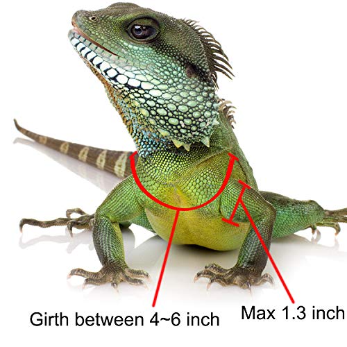 2 Reptile+Harness+Adjustable+Reptiles+Amphibians