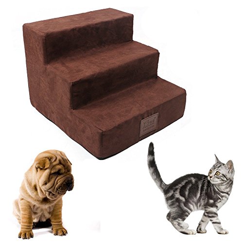 dog steps pets at home