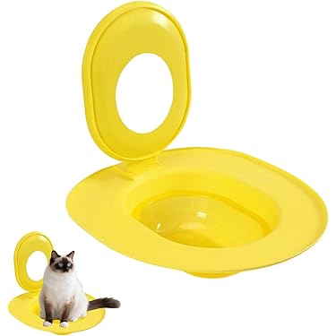 Cat Potty Training in Toilet: Transform Litter Habits