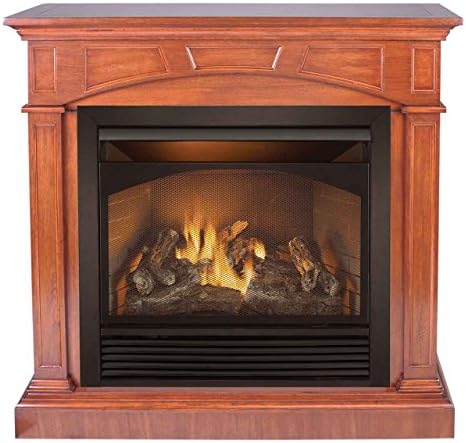 Duluth Forge Dual Fuel Gas Fireplace-32,000 BTU, Remote Control, Heritage Finish ventless Fireplace Large Cherry