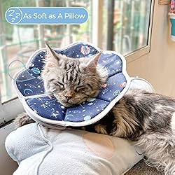 ComSaf Soft Cat Recovery Collar, Protective