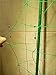 NKTM Vegetables & Fruits Nylon Trellis Support for Climbing Plants, Vine & Veggie Trellis Net, 5.9 Ft x 11.8 Ft St. Patrick's Day
