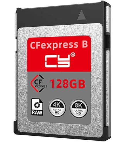 Amazon.com: 128GB CFexpress Type B Memory Card - CFexpress Type B