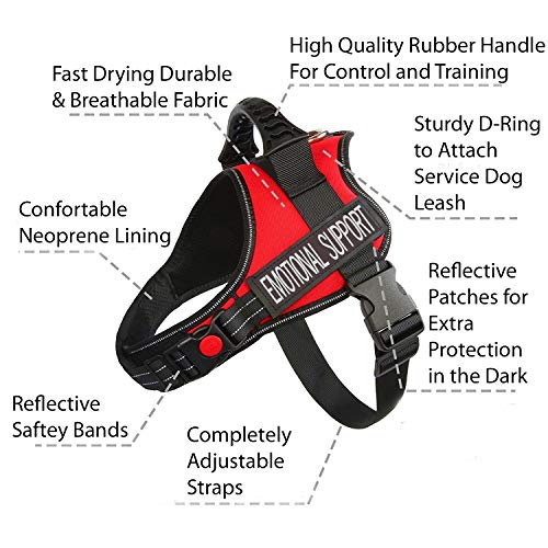 kong dog leash retractable