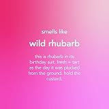 Method Antibacterial All Purpose Cleaner Refill 2L Wild Rhubarb Scent view 3