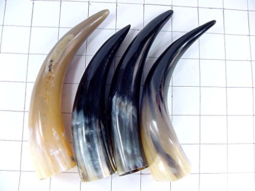 Drinking Powder (4) Bull Craft Cow Horns Larp SCA Medieval