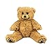 Bearegards.com Baby Heartbeat Bear - Recordable Stuffed 8