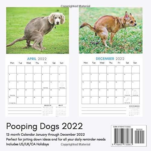 Dogs Pooping 2022 Calendar: Funny Pooches Answering Nature's Call For Dog Lovers | Joke, White Elephant, Gag, Gift, Secret Santa, Christmas Stocking Filler: Publications, Auraq: 9798497730661: Amazon.com: Books