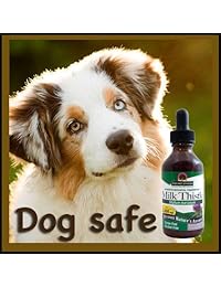 Nature &apos;s Respuesta alcohol-free Extracto de Cardo Mariano, 2-fluid onzas