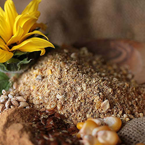 hühnergold® Hühner Legemehl 10 kg â Hochwertiges Alleinfuttermittel für Legehennen â Stabile Eierschalen, ohne Gentechnik, ohne Palmöl â Kontrollierte Herstellung – Bild 3