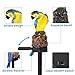 Solar Garden Lights Parrot Sculpture Solar LED Lights Powered by Solar Outdoor Adjustable Solar Panel for Garden Courtyard Home Decoration, Warm White (Blue&Yellow)