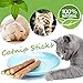Matatabi Cat Catnip Sticks 25 Pcs or 50 pcs Cat Chew Sticks Dental Cleaning for Cats Organic Silver Vine Dental Treats Molar Chew Toy