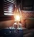 Lamplight 18 oz. Ultra-Pure Lamp Oil - liquid paraffin oil for indoor use, sootless, smokeless and odorless, clear, emergency kit 60014
