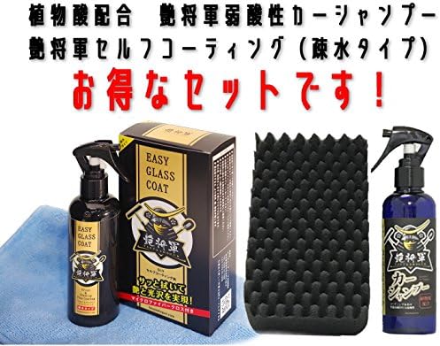 艶将軍セルフコート0mlと艶将軍ボタニカルカーシャンプー0mlのセットです 15 Offのお得なセットです 761円分お得です 割り引き