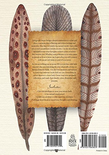 Drawn To Nature A Sketchbook For The Naturalist Holly Ward - 