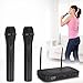 Pyle Dual Channel Wireless Microphone System - Dual Frequency Wireless Mic Receiver Set with 2 Handheld Dynamic Transmitter Mics, Receiver Base - PA, Karaoke, Dj Party - PDWM2130