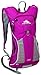 High Sierra Propel Hydration Pack, Boysenberry/Ash, 2-Liter