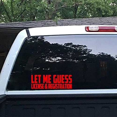 MountainValleyClimber Let Me Guess License and Registration Sticker Funny Hater JDM car Window Decal for Car Truck Laptop Decal Motorcycle Vinyl