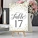 Hadley Designs Wedding Table Numbers 1-20 - Table Numbers for Wedding Reception Centerpiece, 4 x 6 Inches Double Sided Cards (Gold)