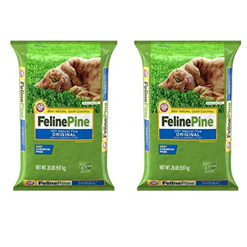 feline pine 20 lbs
