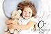 Comfort & Relax Memory Foam Toddler Pillow with Cool Gel Pad, for Kids Age 2-10