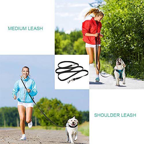oneisall Hands Free Dog Leash,Multifunctional Dog Training Leads,8ft Nylon Double Leash for Puppy,Small & Large Dogs - Image 6