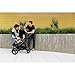 Bumbleride Indie All Terrain Stroller