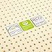 Pure Green Natural Latex Mattress Topper - Medium Firmness - 2 Inch - Full Size (GOLS Certified Organic)