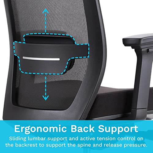 EasyErgo Apollo Ergonomic Chair Ergo Mesh Design for Computer Desk