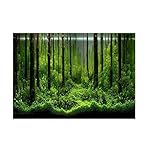 Lazmin112 Poster per Acquario, Adesivo in PVC Sott'Acqua per Acquario Poster per Acquario, Carta per Acquario con…