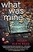 What Was Mine: A Book Club Recommendation!
