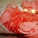PaperLanternStore.com Roseate/Pink Coral Silk Rose Petals Confetti for Weddings in Bulk